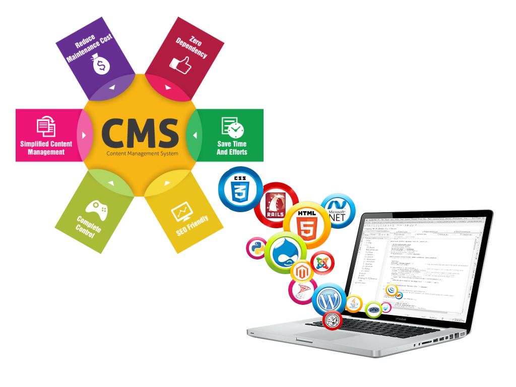 cms development in lahore pakistan